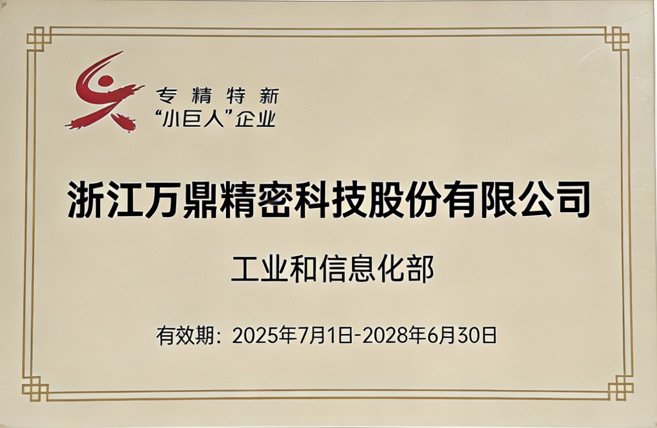 2025年专精特新小巨人企业